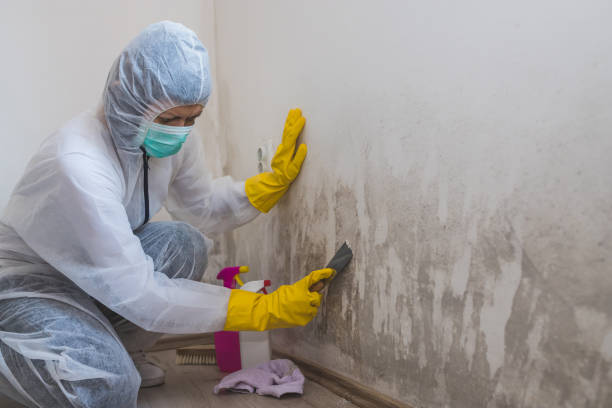 Shenandoah Farms, VA Mold Remediation Company