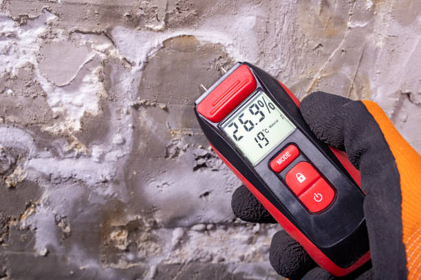 Best Mold Remediation for Specific Building Types in Shenandoah Farms, VA