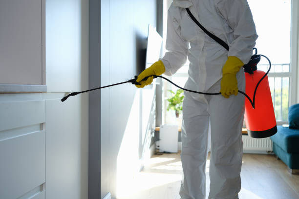 Best Basement Mold Remediation in Shenandoah Farms, VA