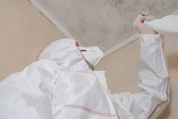 Professional Mold Remediation in Shenandoah Farms, VA